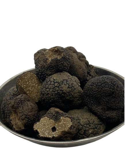 Tartufo nero estivo